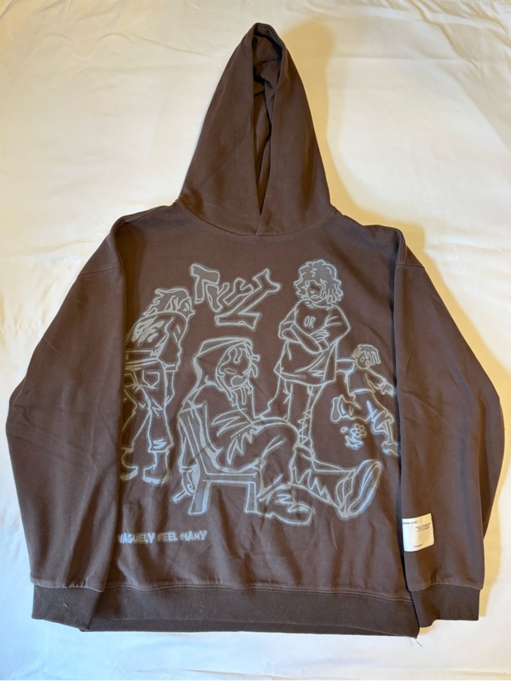 Brown Graphic Hoodie Sweatshirt - Men Sweaters